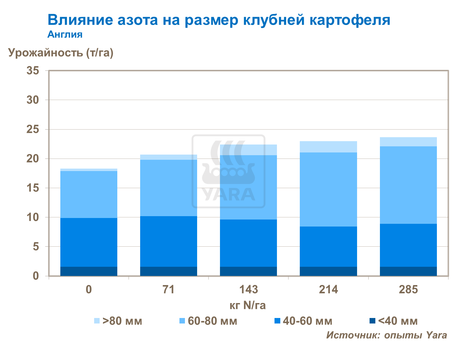 вплив азоту на розмір бульб