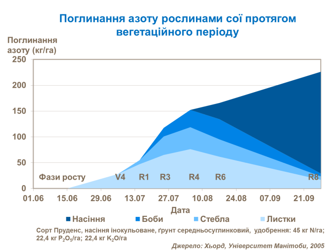 N uptake