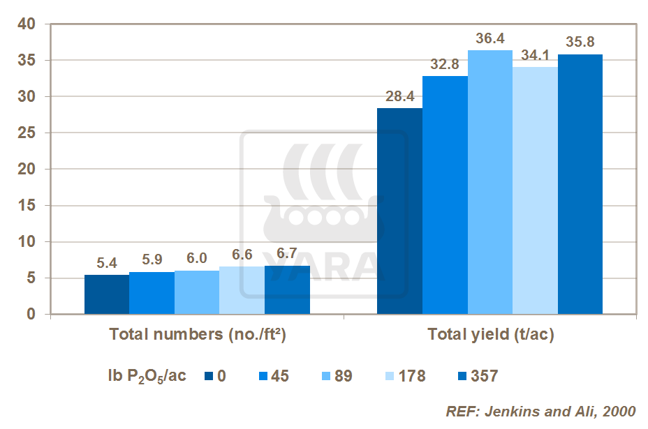 Вплив фосфору