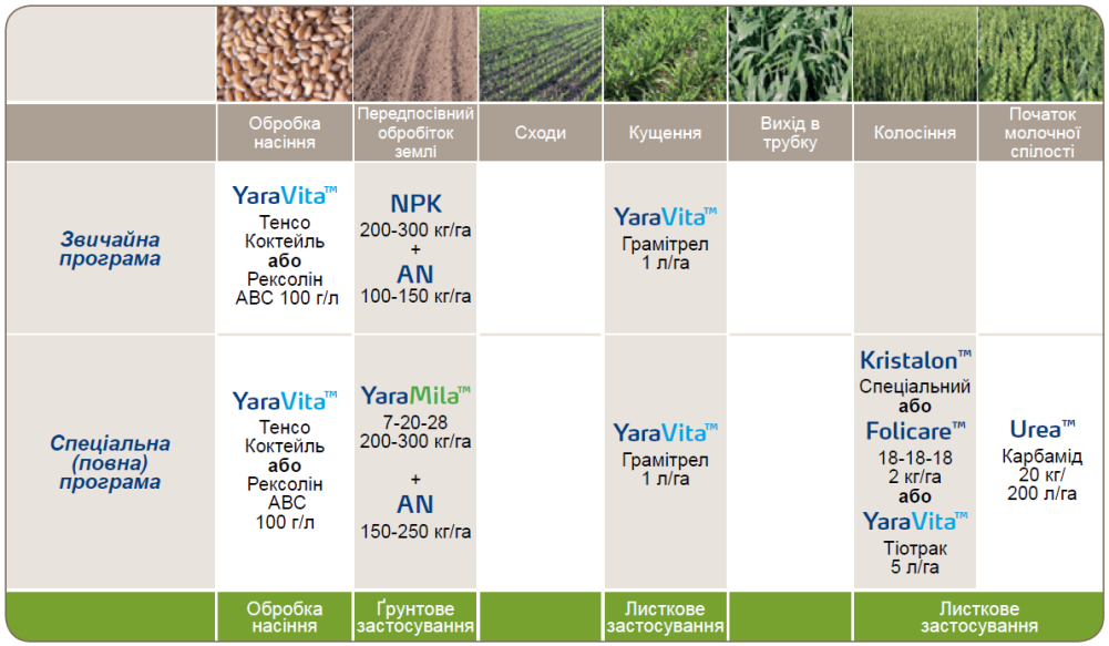 Яра пшениця- програма живлення