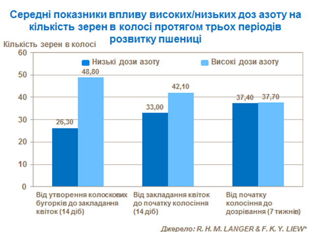 Середнi показники впливу високих / низьких доз азато на кiлькiсть зерен в колосi протягом трьох перiодiв розвитку пшеницi
