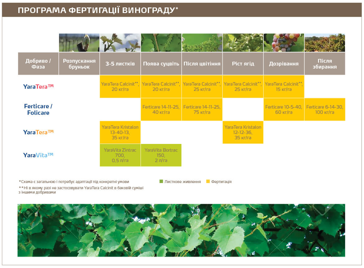 Wine grape fert 2021