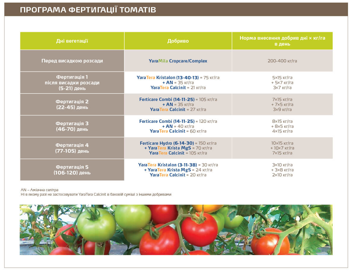 Tomato fert 2021
